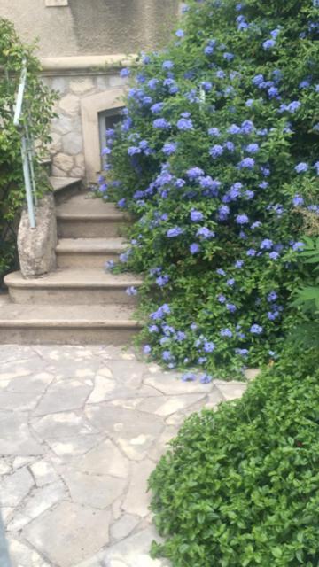 Chez Catherine Arles Esterno foto