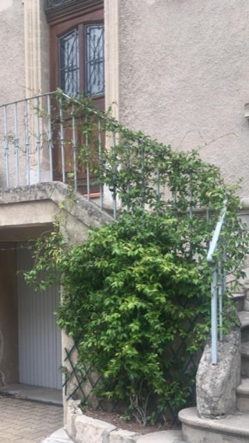 Chez Catherine Arles Esterno foto